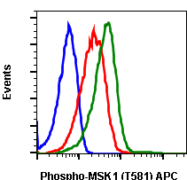 Phospho-MSK1 (Thr581) rabbit mAb APC conjugate Antibody