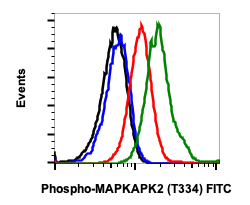 Phospho-MAPKAPK2 (Thr334) rabbit mAb FITC conjugate Antibody