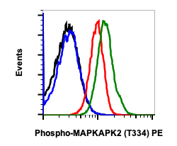 Phospho-MAPKAPK2 (Thr334) rabbit mAb PE conjugate Antibody