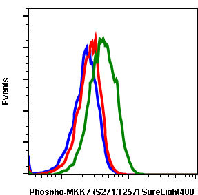 Phospho-MKK7 (Ser271/Thr275) rabbit mAb SureLight 488 conjugate Antibody