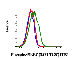 Phospho-MKK7 (Ser271/Thr275) rabbit mAb FITC conjugate Antibody