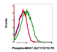 Phospho-MKK7 (Ser271/Thr275) rabbit mAb PE conjugate Antibody