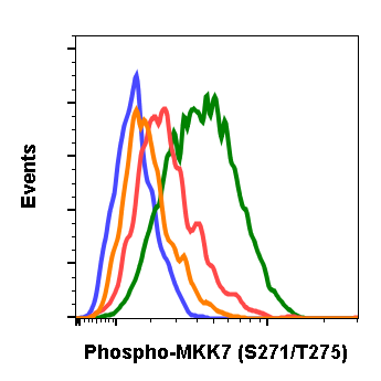 Phospho-MKK7 (Ser271/Thr275) rabbit mAb Antibody