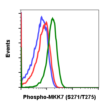Phospho-MKK7 (Ser271/Thr275) rabbit mAb Antibody