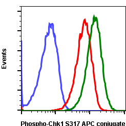 Phospho-Chk1 (Ser317) rabbit mAb APC conjugate Antibody