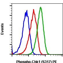 Phospho-Chk1 (Ser317) rabbit mAb PE conjugate Antibody