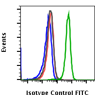 Isotype Control rabbit mAb FITC Conjugate Antibody