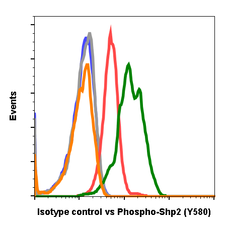 Isotype Control rabbit mAb Antibody