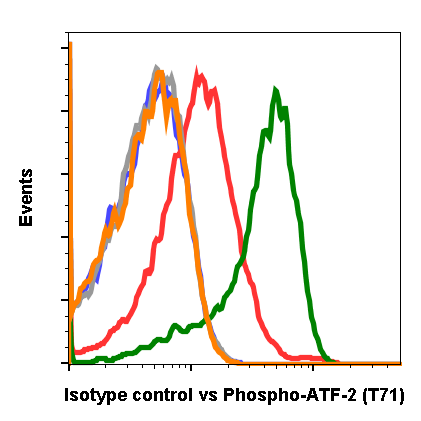 Isotype Control rabbit mAb Antibody