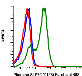 Phospho-SLP-76 (Tyr128) rabbit mAb SureLight488 conjugate Antibody
