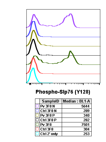 Phospho-SLP-76 (Tyr128) rabbit mAb Antibody