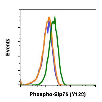 Phospho-SLP-76 (Tyr128) rabbit mAb Antibody