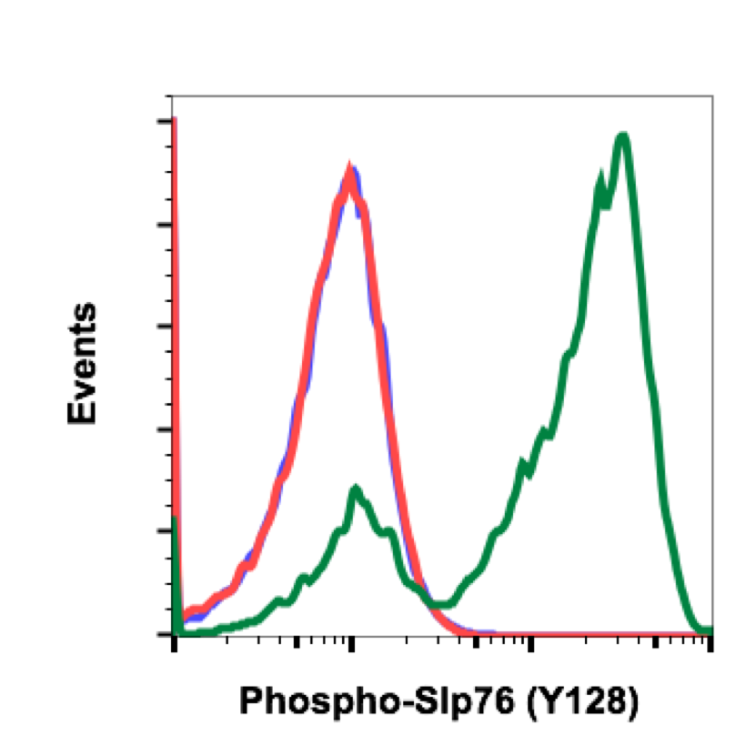 Phospho-SLP-76 (Tyr128) rabbit mAb Antibody