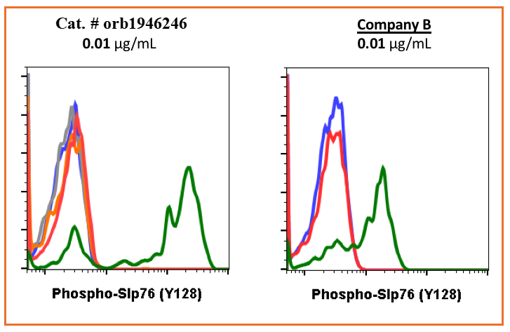 Phospho-SLP-76 (Tyr128) rabbit mAb Antibody