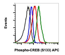 Phospho-CREB (Ser133) rabbit mAb APC conjugate Antibody