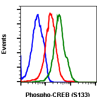Phospho-CREB (Ser133) rabbit mAb PE conjugate Antibody