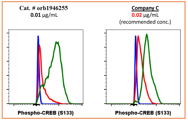 Phospho-CREB (Ser133) rabbit mAb Antibody