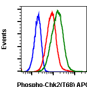 Phospho-Chk2 (Thr68) rabbit mAb APC conjugate Antibody