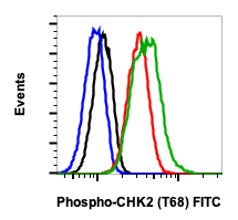 Phospho-Chk2 (Thr68) rabbit mAb FITC conjugate Antibody