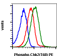 Phospho-Chk2 (Thr68) rabbit mAb PE conjugate Antibody