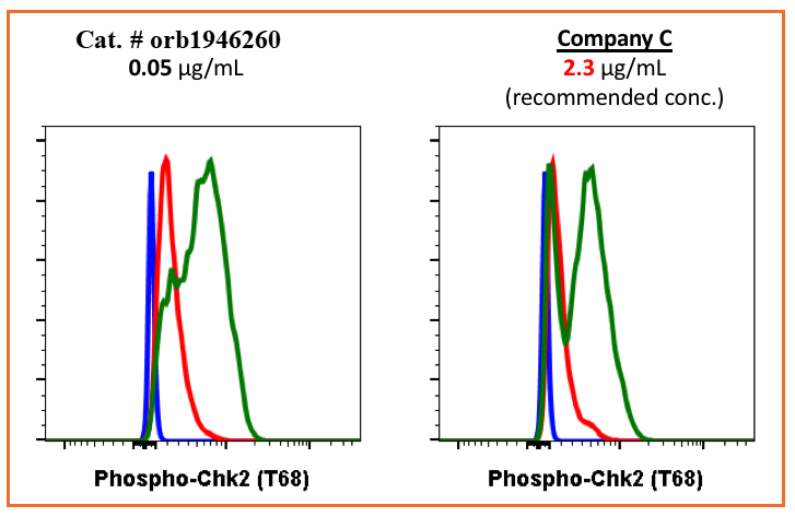 Phospho-Chk2 (Thr68) rabbit mAb Antibody