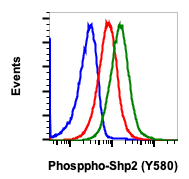 Phospho-Shp2 (Tyr580) rabbit mAb APC conjugate Antibody