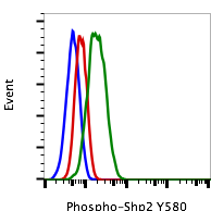 Phospho-Shp2 (Tyr580) rabbit mAb FITC conjugate Antibody