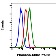 Phospho-Shp2 (Tyr580) rabbit mAb PE conjugate Antibody