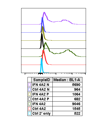Phospho-Shp2 (Tyr580) rabbit mAb Antibody