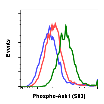 Phospho-Ask1 (Ser83) rabbit mAb Antibody