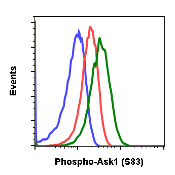 Phospho-Ask1 (Ser83) rabbit mAb Antibody