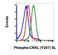 Phospho-CrkL (Tyr207) rabbit mAb SureLight488 Conjugate Antibody