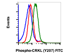 Phospho-CrkL (Tyr207) rabbit mAb FITC conjugate Antibody