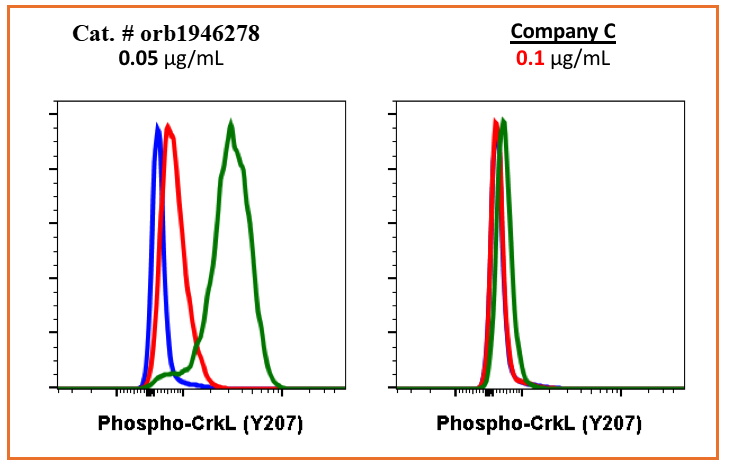 Phospho-CrkL (Tyr207) rabbit mAb Antibody