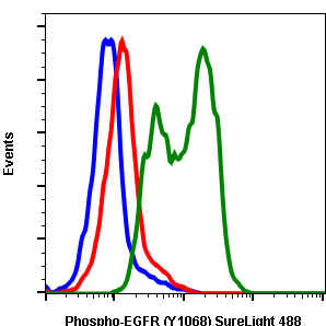 Phospho-EGFR (Tyr1068) rabbit mAb SureLight488 conjugate Antibody
