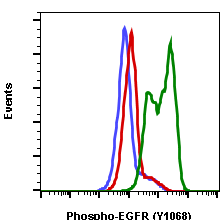 Phospho-EGFR (Tyr1068) rabbit mAb APC conjugate Antibody