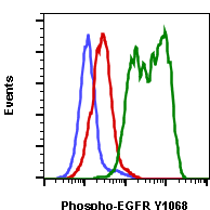 Phospho-EGFR (Tyr1068) rabbit mAb PE conjugate Antibody