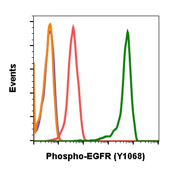 Phospho-EGFR (Tyr1068) rabbit mAb Antibody
