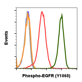 Phospho-EGFR (Tyr1068) rabbit mAb Antibody
