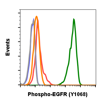 Phospho-EGFR (Tyr1068) rabbit mAb Antibody