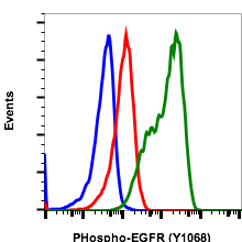 Phospho-EGFR (Tyr1068) rabbit mAb Antibody