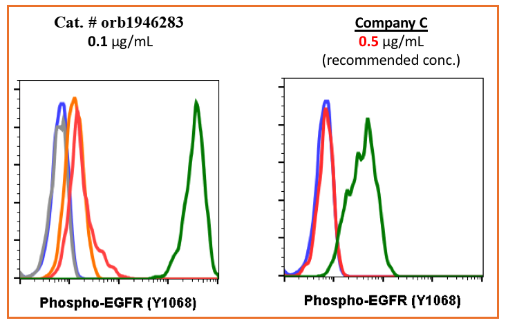 Phospho-EGFR (Tyr1068) rabbit mAb Antibody