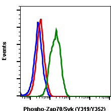 Phospho-Zap70 (Tyr319)/Syk (Tyr352) rabbit mAb SureLight 488 conjugate Antibody