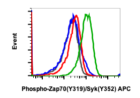 Phospho-Zap70 (Tyr319)/Syk (Tyr352) rabbit mAb APC conjugate Antibody