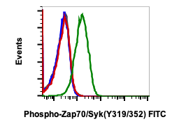 Phospho-Zap70 (Tyr319)/Syk (Tyr352) rabbit mAb FITC conjugate Antibody