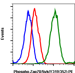 Phospho-Zap70 (Tyr319)/Syk (Tyr352) rabbit mAb PE conjugate Antibody