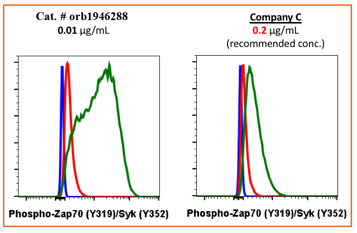 Phospho-Zap70 (Tyr319)/Syk (Tyr352) rabbit mAb Antibody