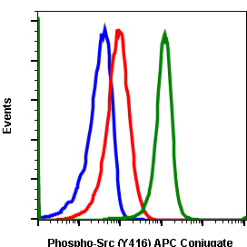 Phospho-Src (Tyr416) rabbit mAb APC conjugate Antibody