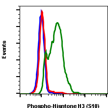 Phospho-Histone H3 (Ser10) rabbit mAb Antibody