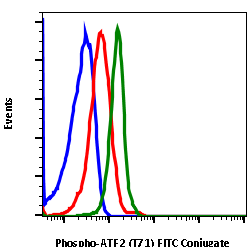 Phospho-ATF2 (Thr71) rabbit mAb FITC conjugate Antibody